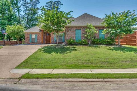 121 Meadowview Rdg, Brandon, MS 39047 photo 3