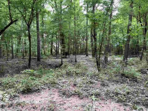 3692 Highway 80 Hwy, Brandon, MS 39042 photo 34