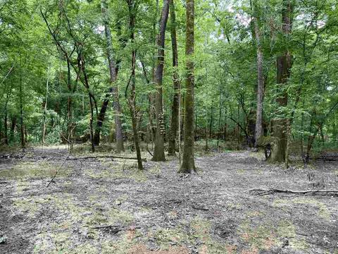 3692 Highway 80 Hwy, Brandon, MS 39042 photo 26