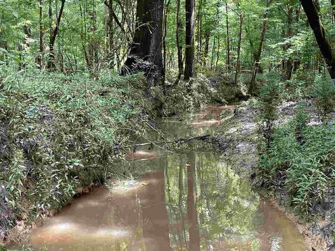 3692 Highway 80 Hwy, Brandon, MS 39042 photo 28