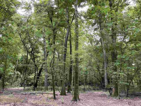 3692 Highway 80 Hwy, Brandon, MS 39042 photo 27