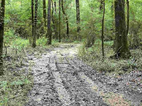 3692 Highway 80 Hwy, Brandon, MS 39042 photo 29