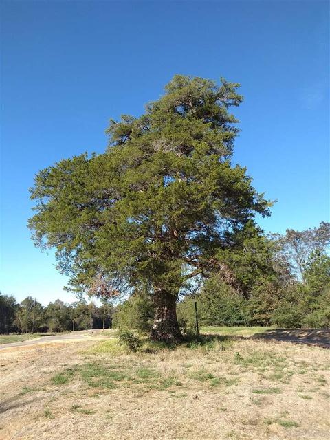 133 Kathryn Dr, Brandon, MS 39042 photo 8