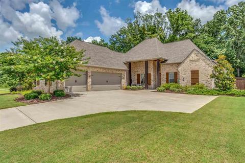 248 Grayhawk Dr, Madison, MS 39110 photo 1