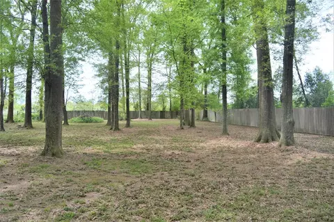 1007 River Rd S, Summit, MS 39666 photo 8