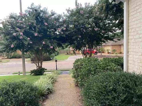273 Lighthouse Ln, Brandon, MS 39047 photo 3