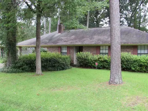154 Plum Tree Rd, Brandon, MS 39047 photo 3