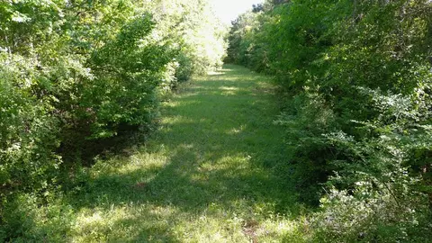 2019 Patsy Hill Rd, Tylertown, MS 39667 photo 62
