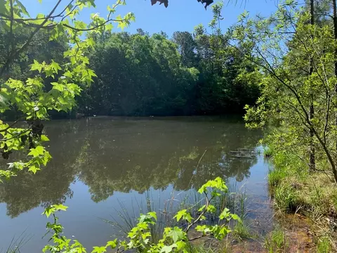 2019 Patsy Hill Rd, Tylertown, MS 39667 photo 72