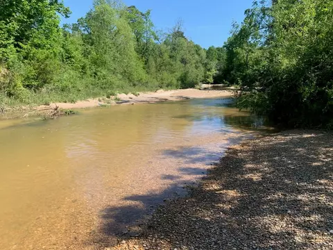 2019 Patsy Hill Rd, Tylertown, MS 39667 photo 69