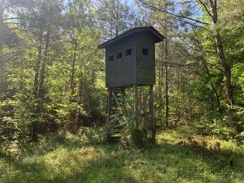2019 Patsy Hill Rd, Tylertown, MS 39667 photo 73