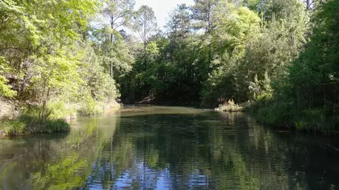2019 Patsy Hill Rd, Tylertown, MS 39667 photo 58