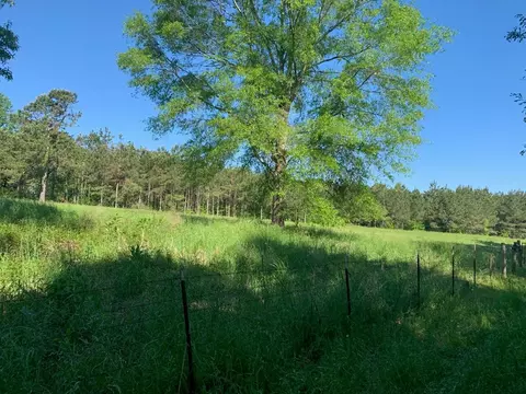 2019 Patsy Hill Rd, Tylertown, MS 39667 photo 74