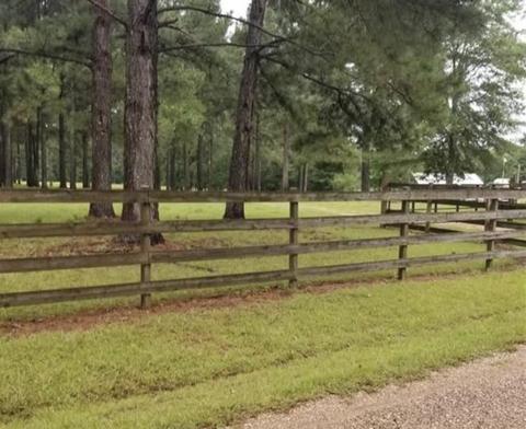 3057 SE Primitive Dr, Ruth, MS 39662 photo 12