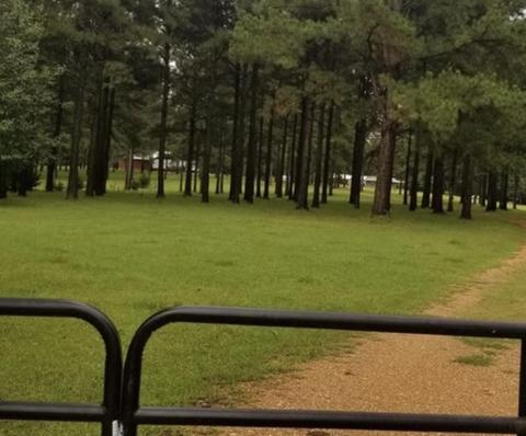 3057 SE Primitive Dr, Ruth, MS 39662 photo 9