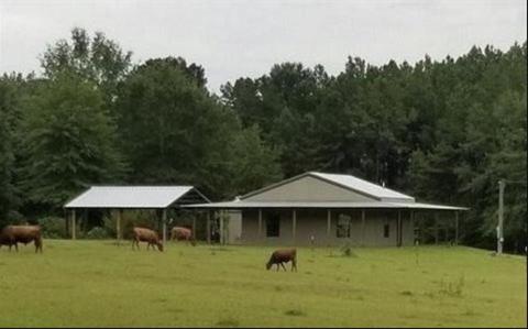 3057 SE Primitive Dr, Ruth, MS 39662 photo 1