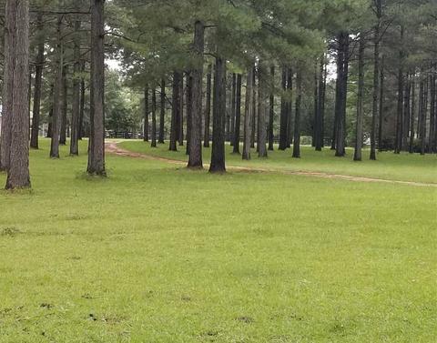 3057 SE Primitive Dr, Ruth, MS 39662 photo 11