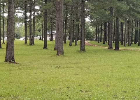 3057 SE Primitive Dr, Ruth, MS 39662 photo 7