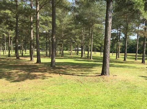 3057 SE Primitive Dr, Ruth, MS 39662 photo 6