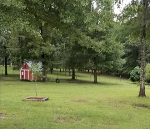 3057 SE Primitive Dr, Ruth, MS 39662 photo 8