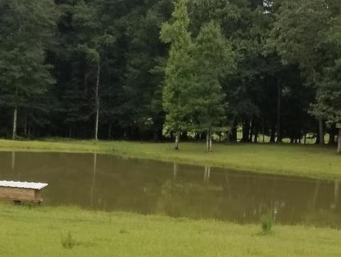 3057 SE Primitive Dr, Ruth, MS 39662 photo 2