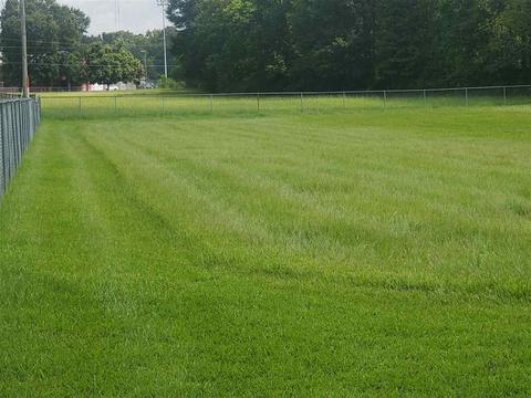 4130 Siwell Rd, Byram, MS 39272 photo 3