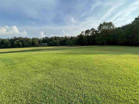 2563 Cedar Grove Rd, Lena, MS 39094 photo 19