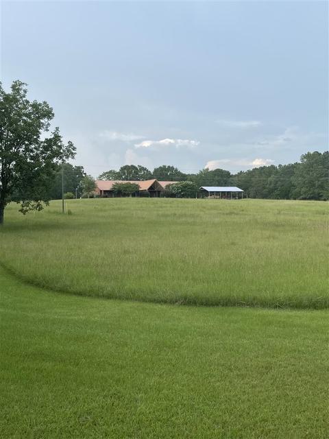 2563 Cedar Grove Rd, Lena, MS 39094 photo 3