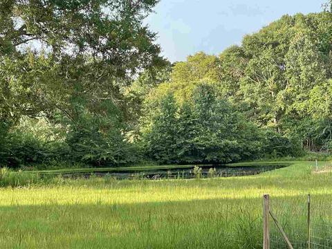 2563 Cedar Grove Rd, Lena, MS 39094 photo 24