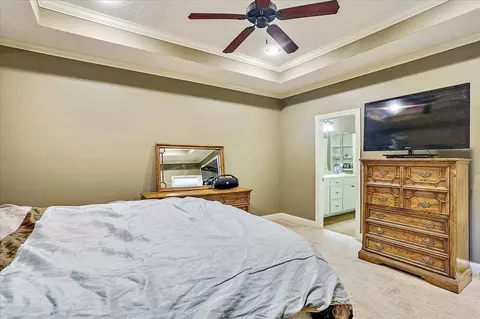 909 Caitlin Cv, Brandon, MS 39047 photo 18