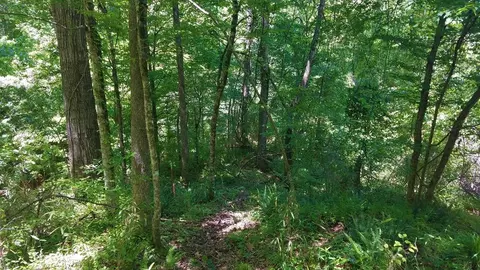 21 Shadyhaven Rd, Roxie, MS 39661 photo 5