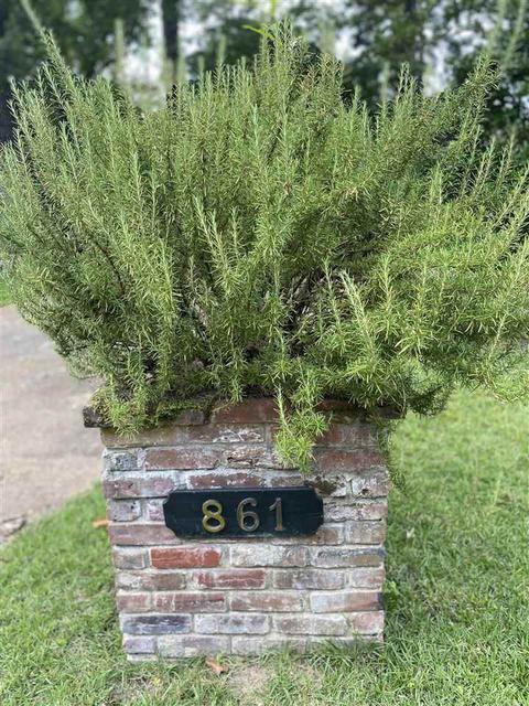 861 Timberlain Dr, Jackson, MS 39211 photo 3