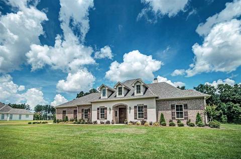 207 Lost Oak Ln, Brandon, MS 39047 photo 1