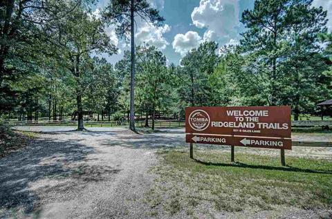 112 Hunt Cir, Madison, MS 39110 photo 35