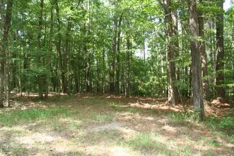 155 Sterling Oak Dr, Brandon, MS 39047 photo 20
