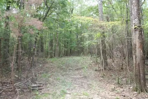 155 Sterling Oak Dr, Brandon, MS 39047 photo 27
