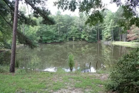 155 Sterling Oak Dr, Brandon, MS 39047 photo 28