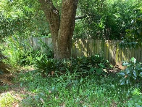 2470 Meadowbrook Rd, Jackson, MS 39211 photo 37