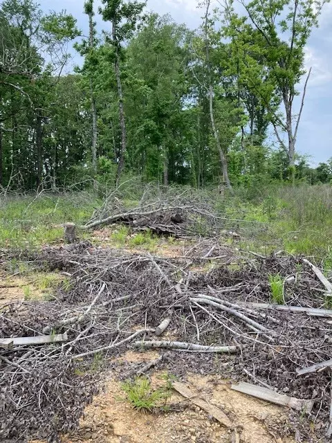 tbd Chisholm Rd, Summit, MS 39666 photo 3