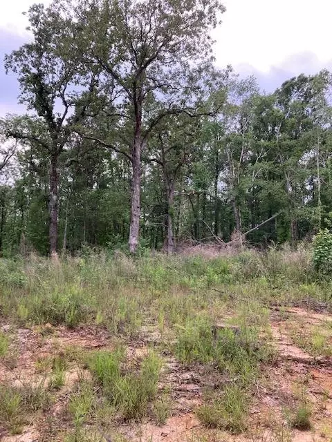 tbd Chisholm Rd, Summit, MS 39666 photo 1
