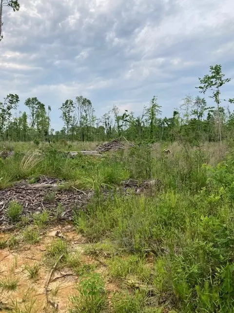 tbd Chisholm Rd, Summit, MS 39666 photo 2