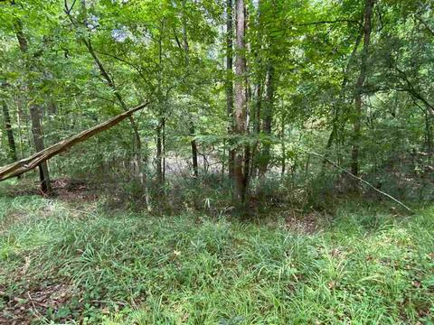 311 Jackson St, Edwards, MS 39066 photo 30