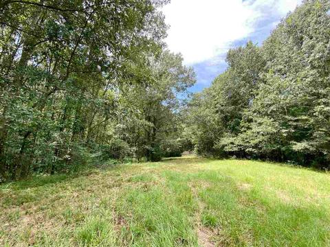 311 Jackson St, Edwards, MS 39066 photo 28