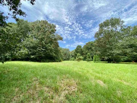 311 Jackson St, Edwards, MS 39066 photo 33