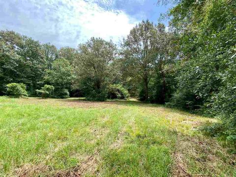 311 Jackson St, Edwards, MS 39066 photo 32