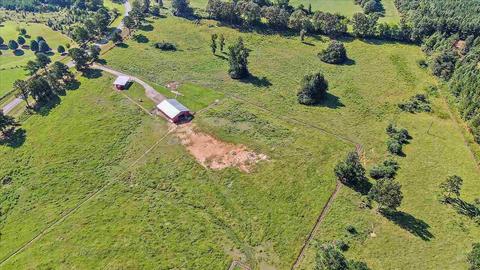 7421 County Line Rd, Carthage, MS 39051 photo 43