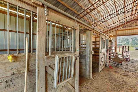 7421 County Line Rd, Carthage, MS 39051 photo 38