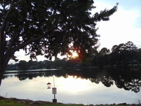 417 Lakebend Pl, Brandon, MS 39042 photo 33