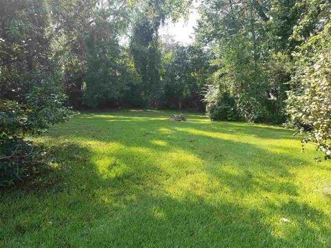 449 Buena Vista Ave, Jackson, MS 39209 photo 9