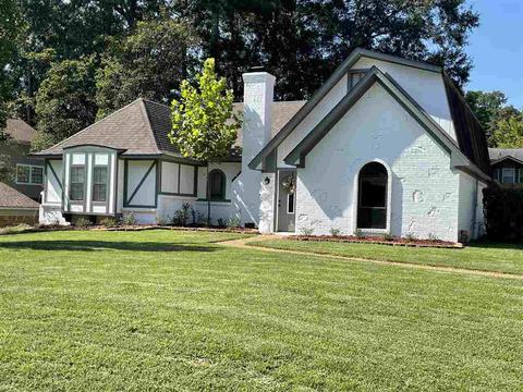 219 Dublin Ct, Brandon, MS 39047 photo 20